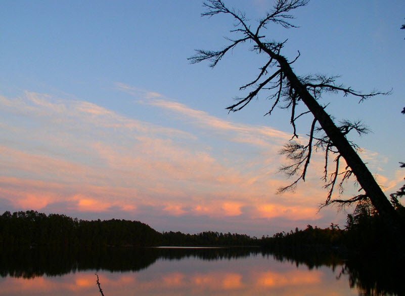 Scenic State Park, Minnesota, USA